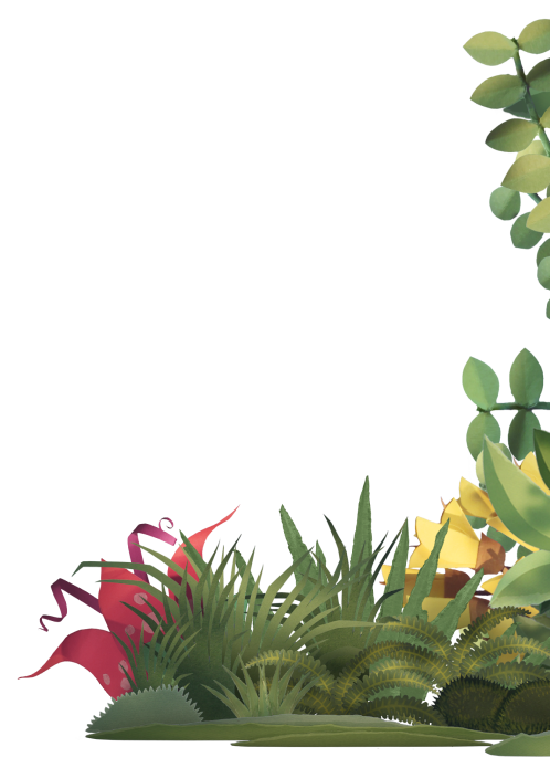 Home-DividingPlantsR