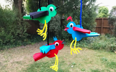 Make Your Own Birds