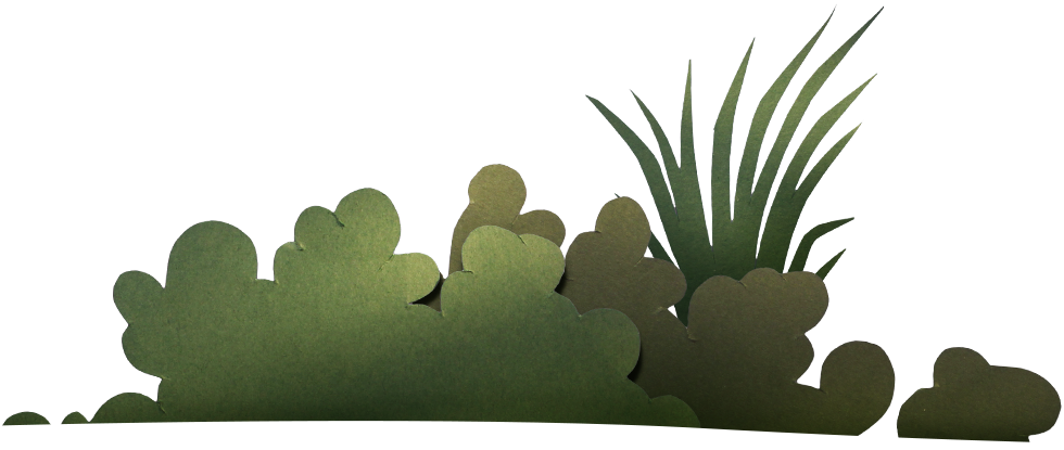 Home-DividingBushL-980x415_v02_fp