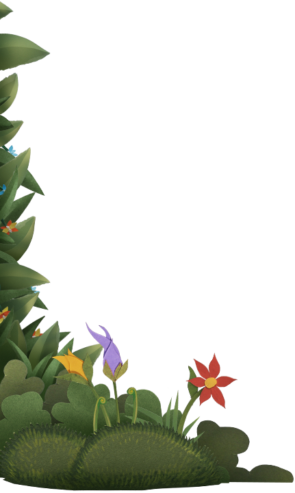 Home-DividingPlantsL_v03_fp