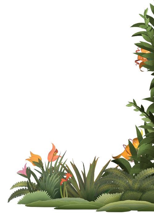 Home-DividingPlantsR_v03_fp